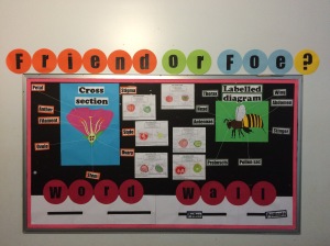 Interactive display in the corridor with student work!