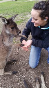 Petting and feeding a kangaroo!
